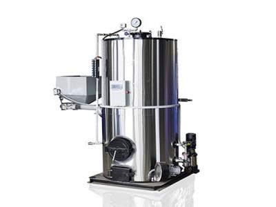 生物质蒸汽发生器